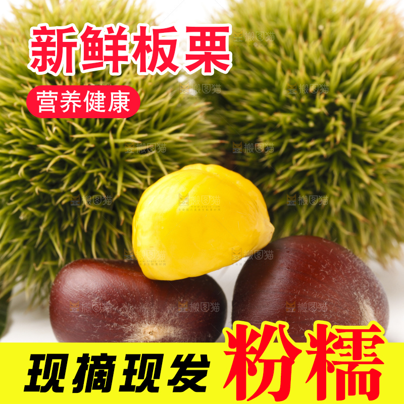 白底上摆放着迁西板栗