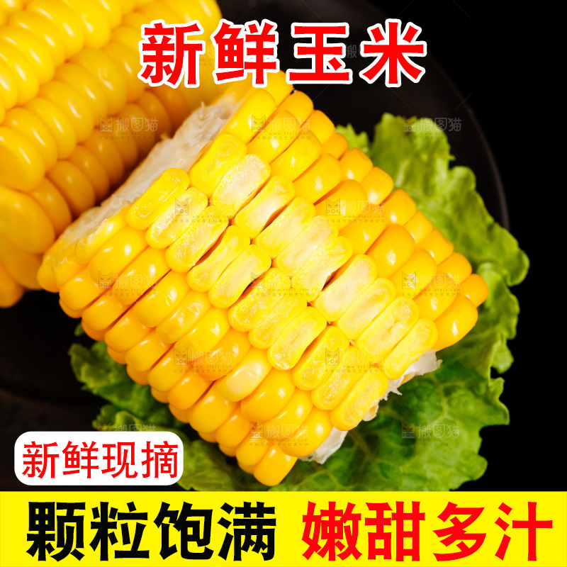 深底上的东北玉米