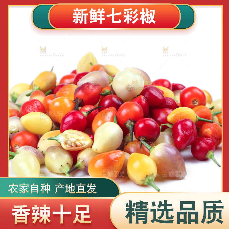 白底上的七彩椒