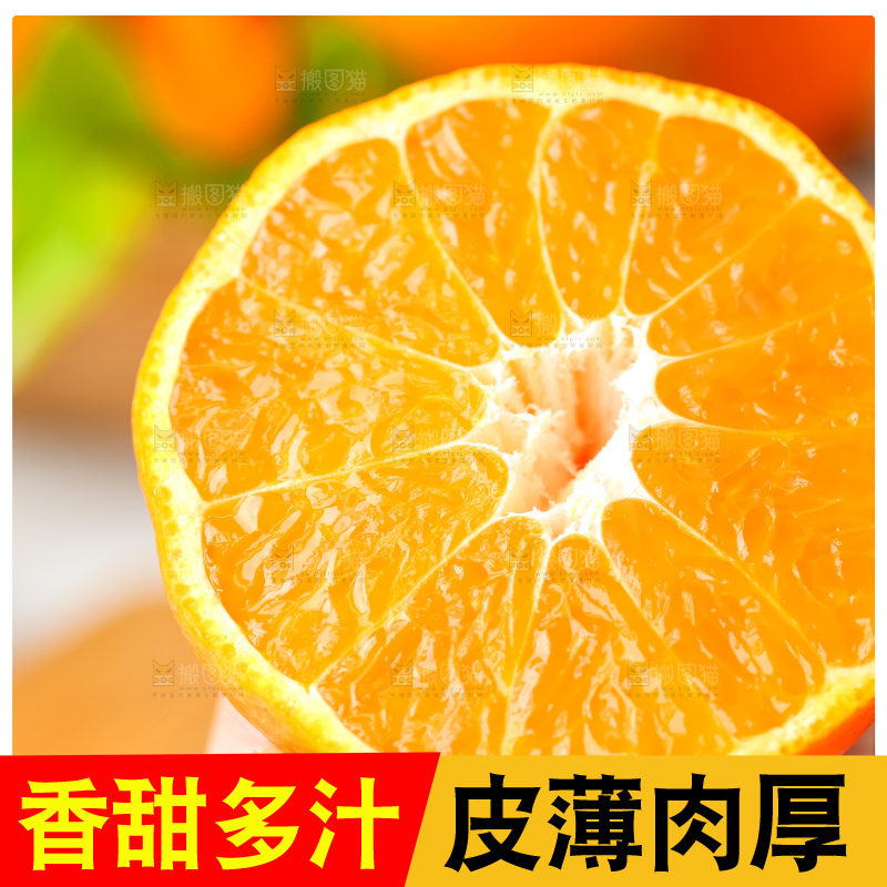 手里拿着新鲜丑橘