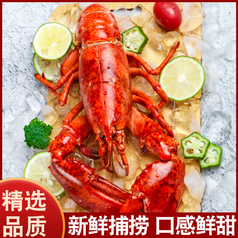石板上的波士顿大龙虾