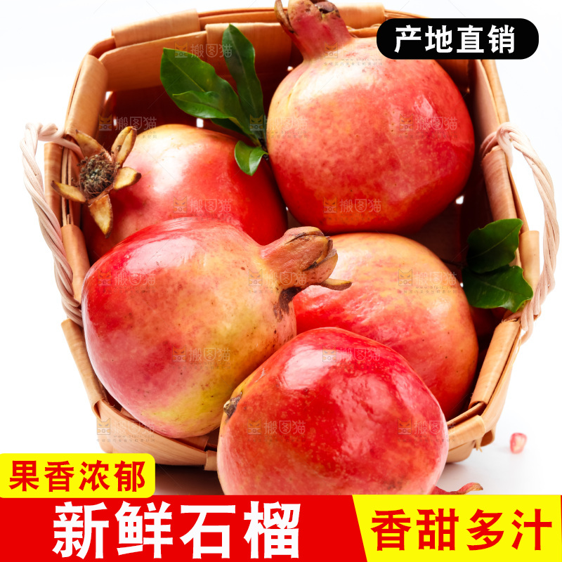 白底上放着突尼斯软籽石榴