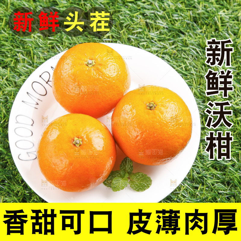 草地上放着贵妃柑