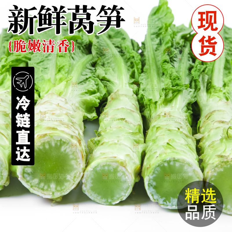 白底上的莴笋