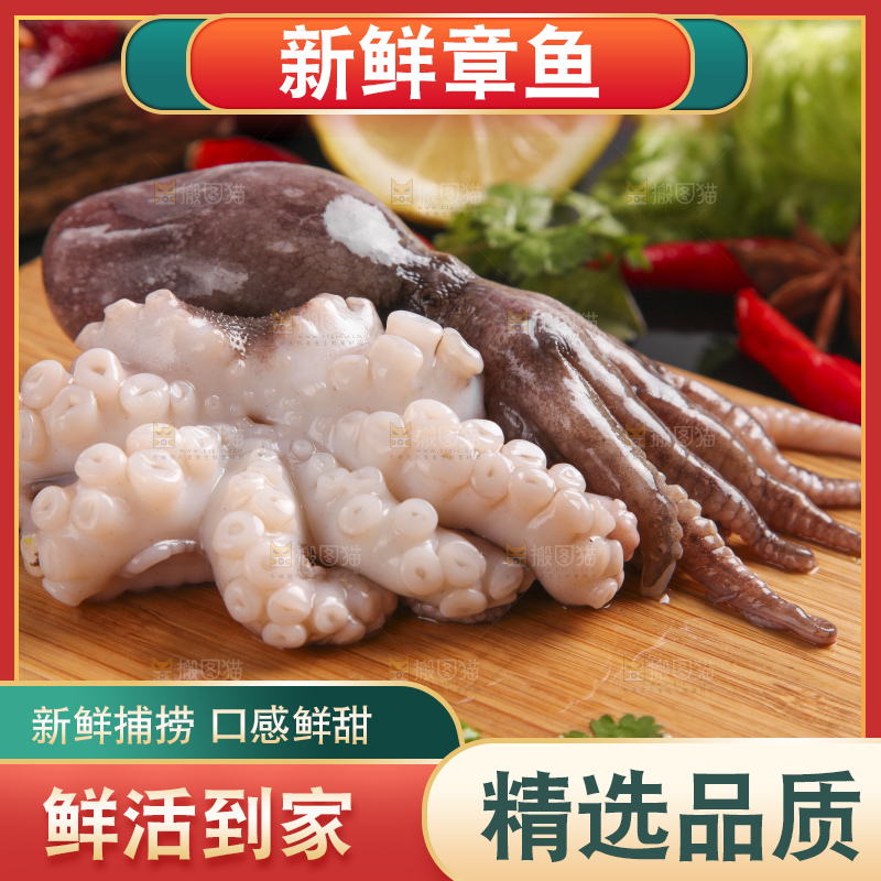 木板上的大连章鱼