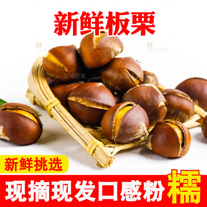 白底上的生板栗