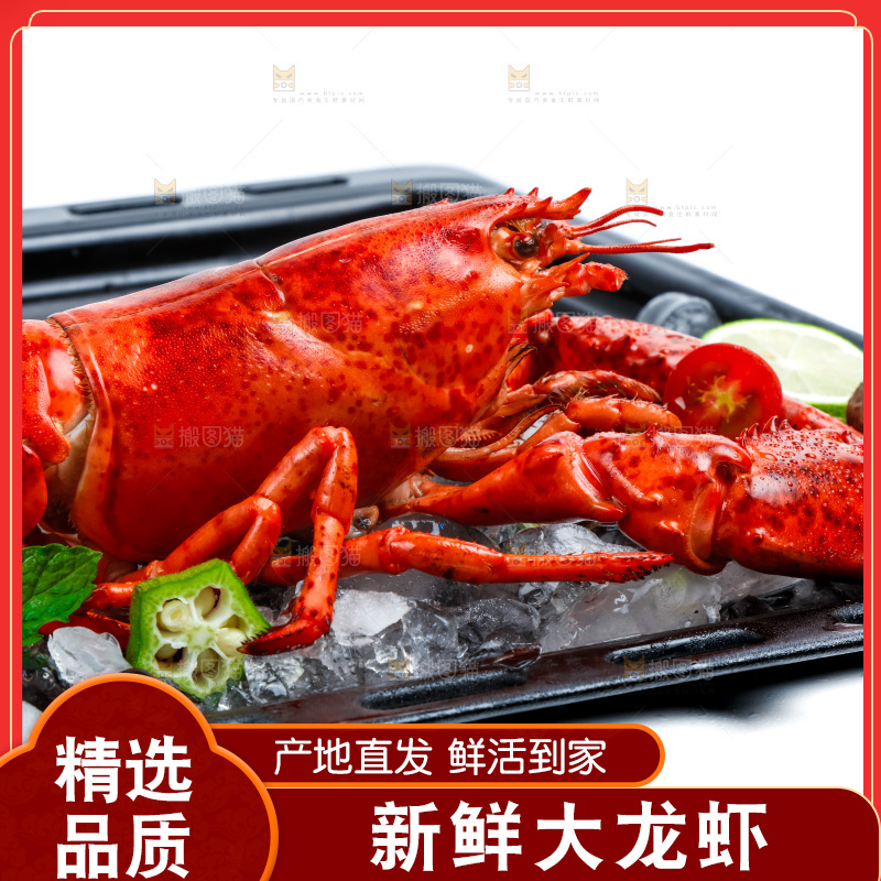 盘子里装着澳洲大龙虾