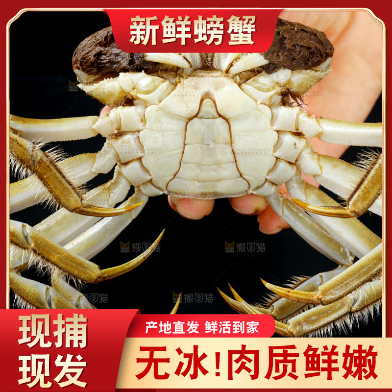 手里拿着鲜活螃蟹