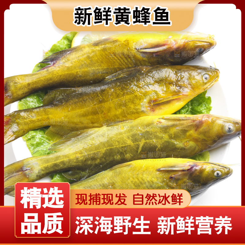 白底上放着黄蜂鱼