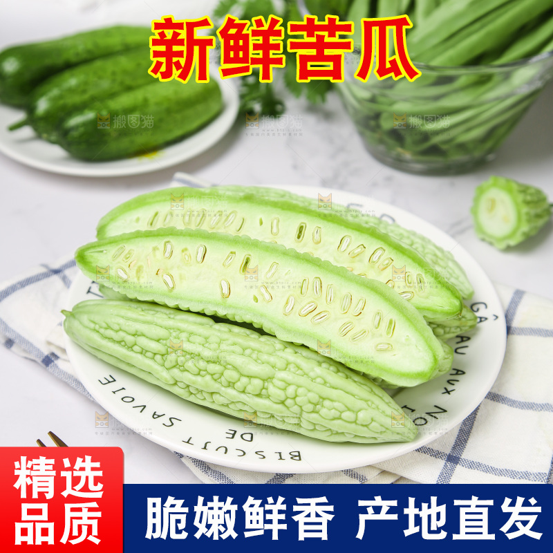 浅底上的苦瓜