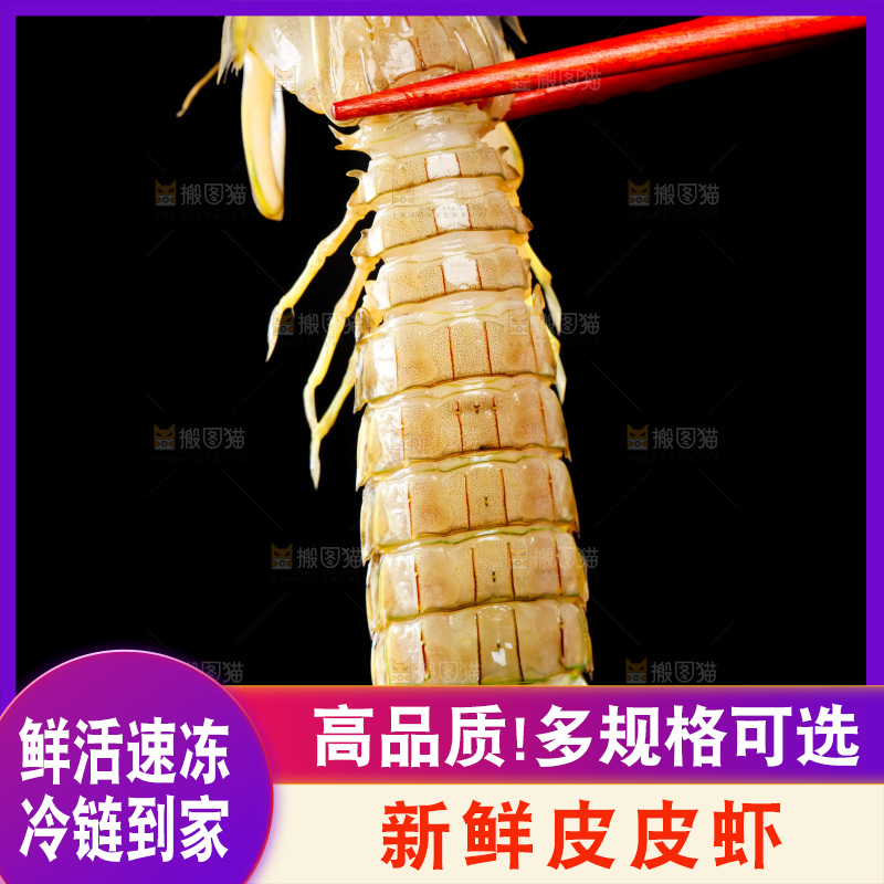 筷子上夹着虾姑