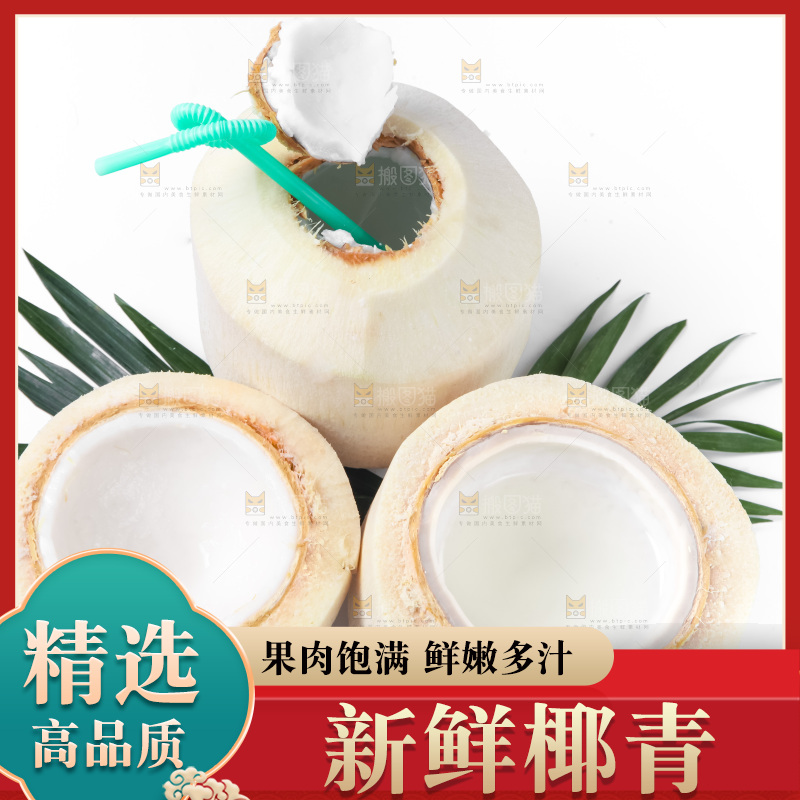 白底上青椰子