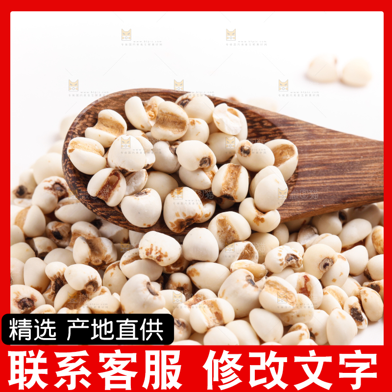 勺子里装着薏米