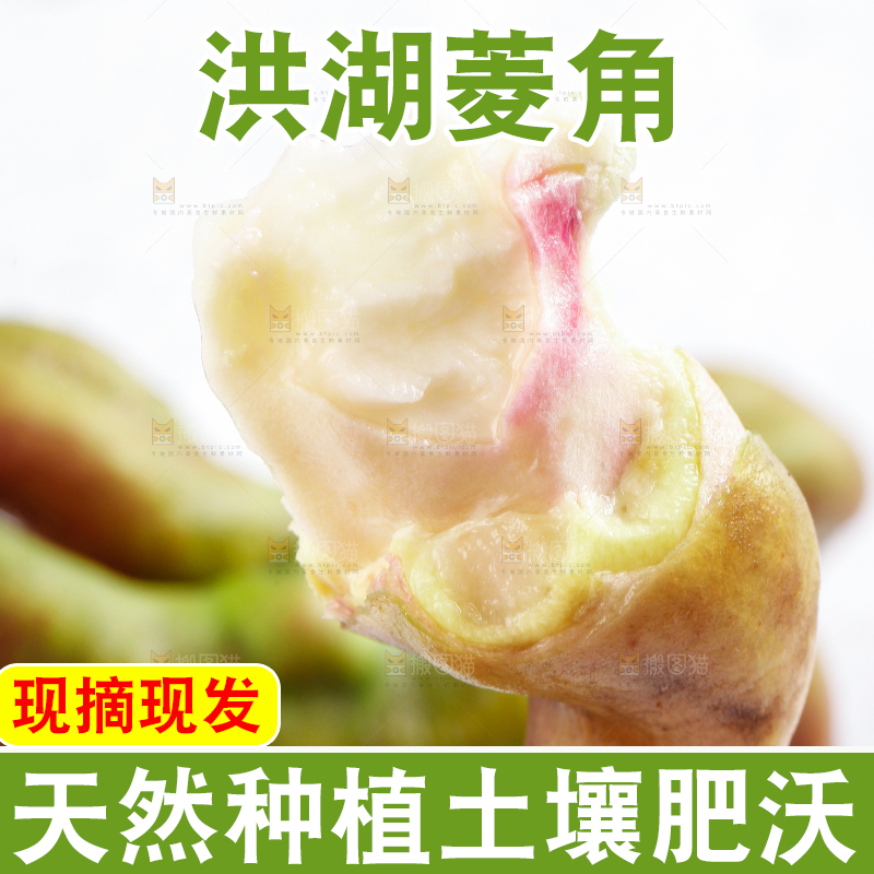 手里拿着新鲜菱角