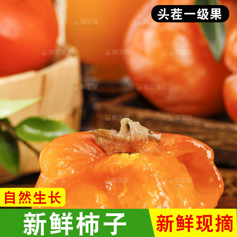 木板上摆放着易县磨盘柿子