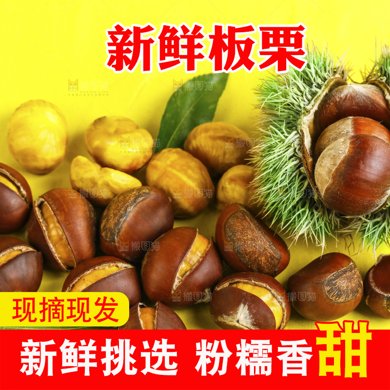 黄底上放着迁西板栗