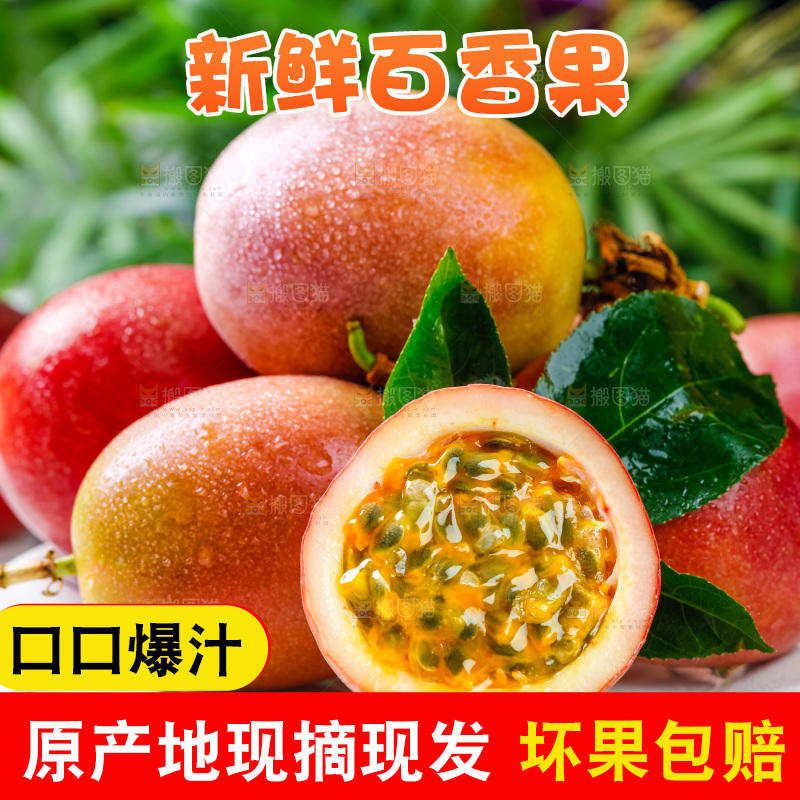 广西百香果放在格子布上