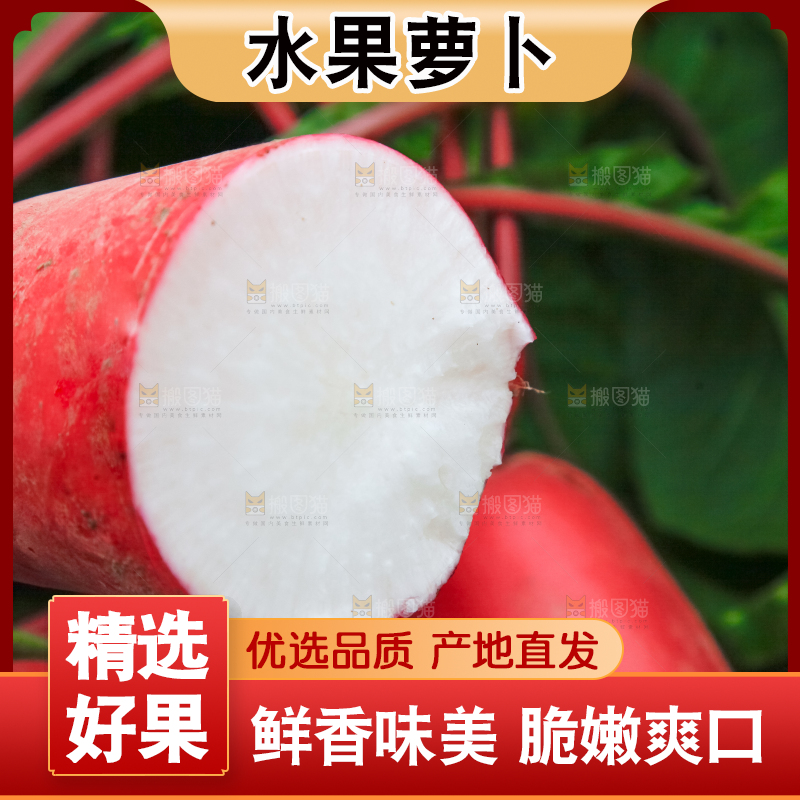 手里拿着红萝卜