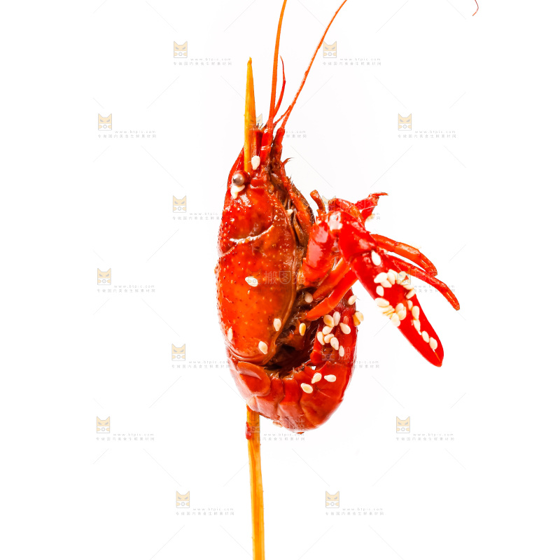 白底上的虾串