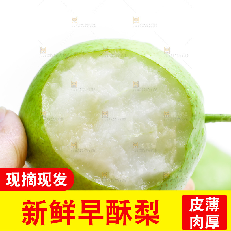 手拿陕西早酥梨