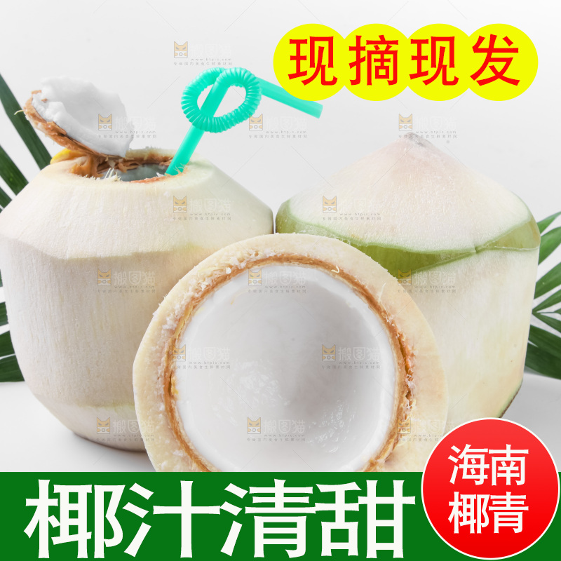 白底上青椰子