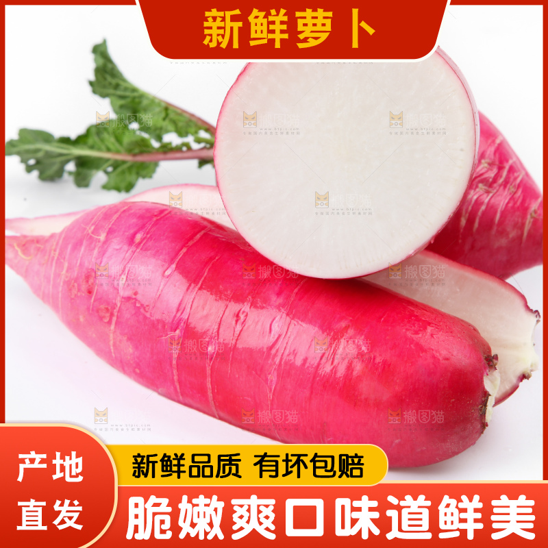 白底上的红萝卜