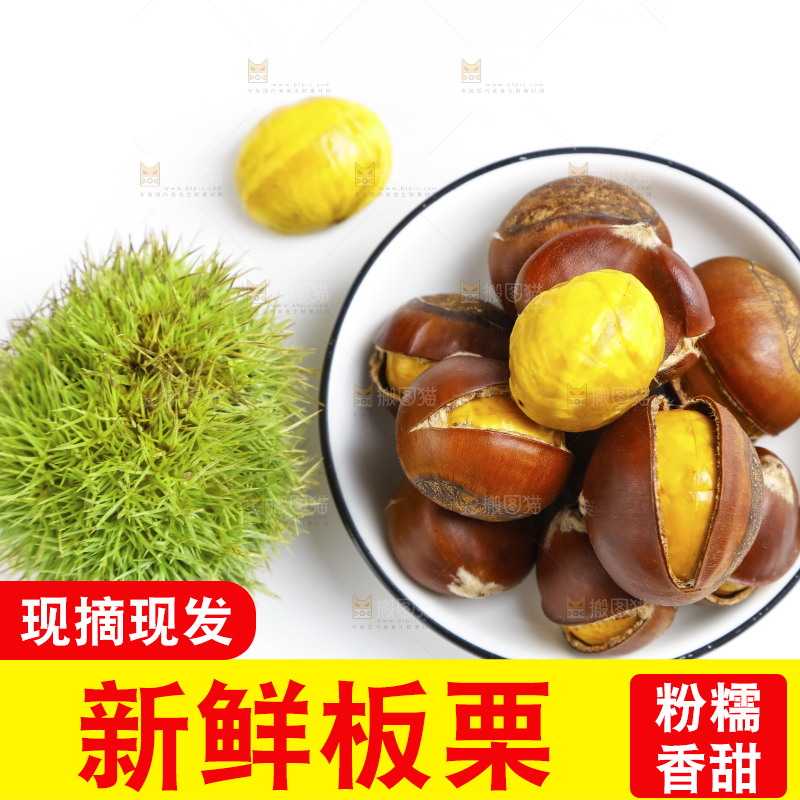 白底上的熟板栗