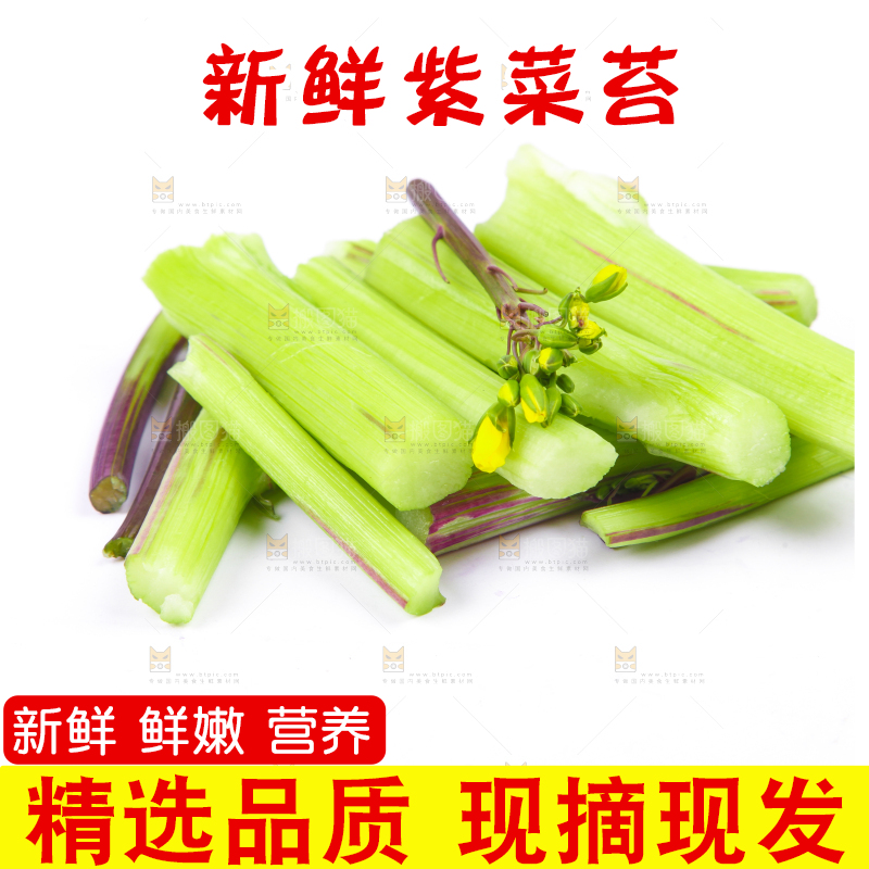 白底上放着紫菜苔