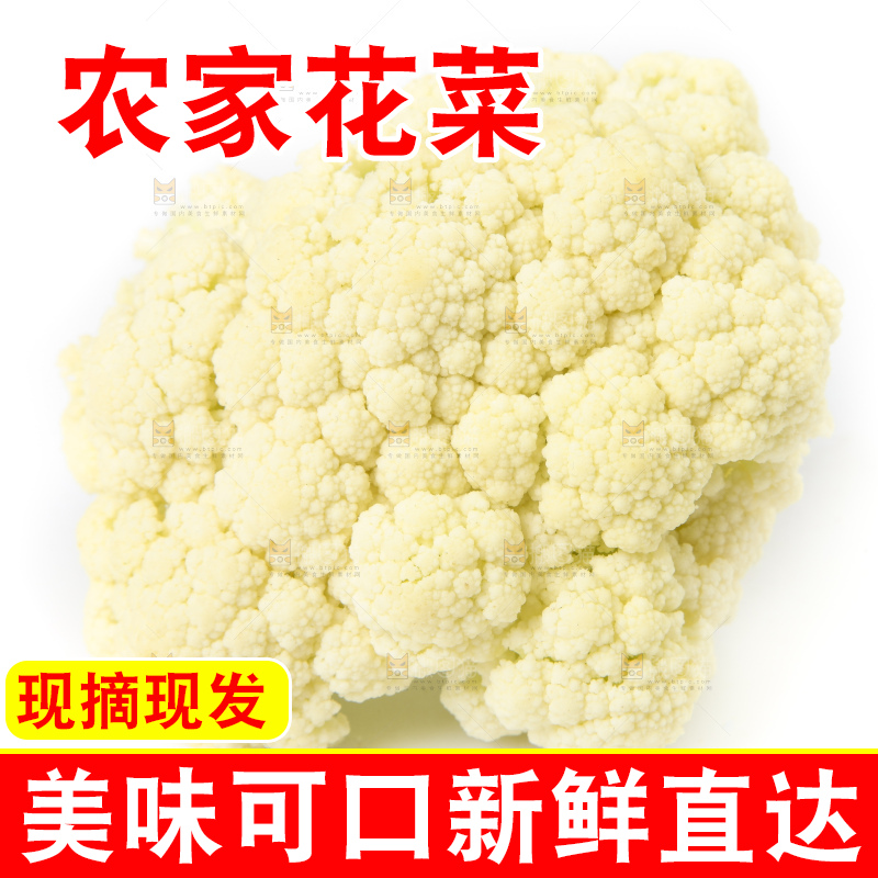白底上的花菜