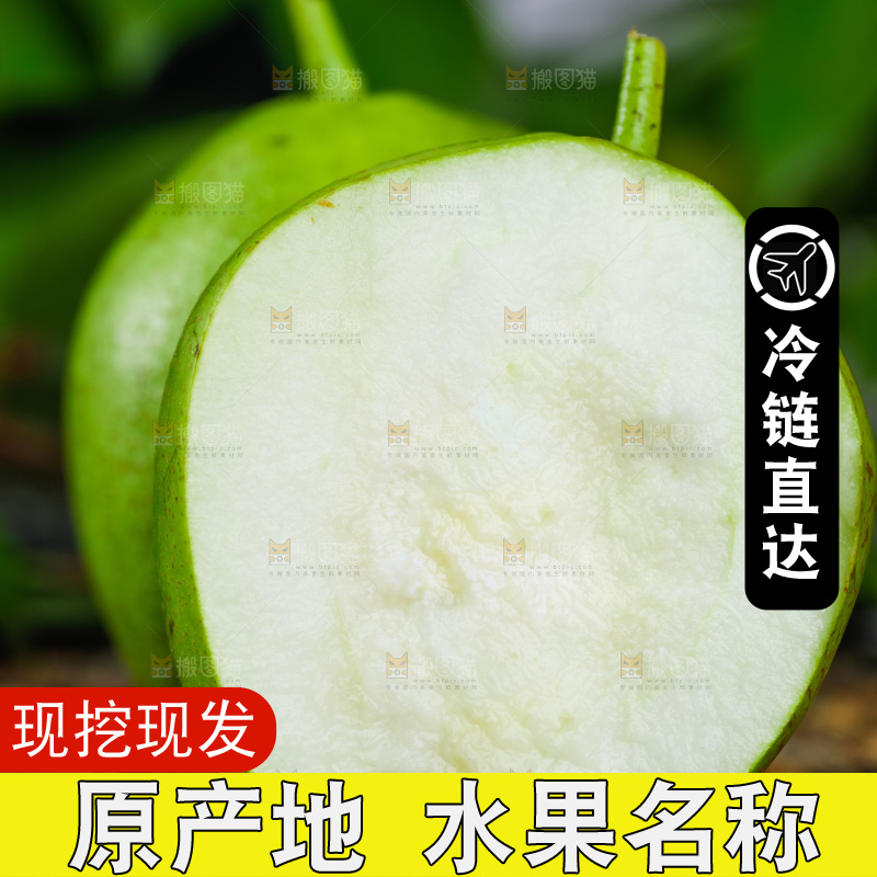 木底上放着陕西早酥梨
