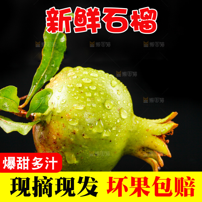黑底上的软籽石榴