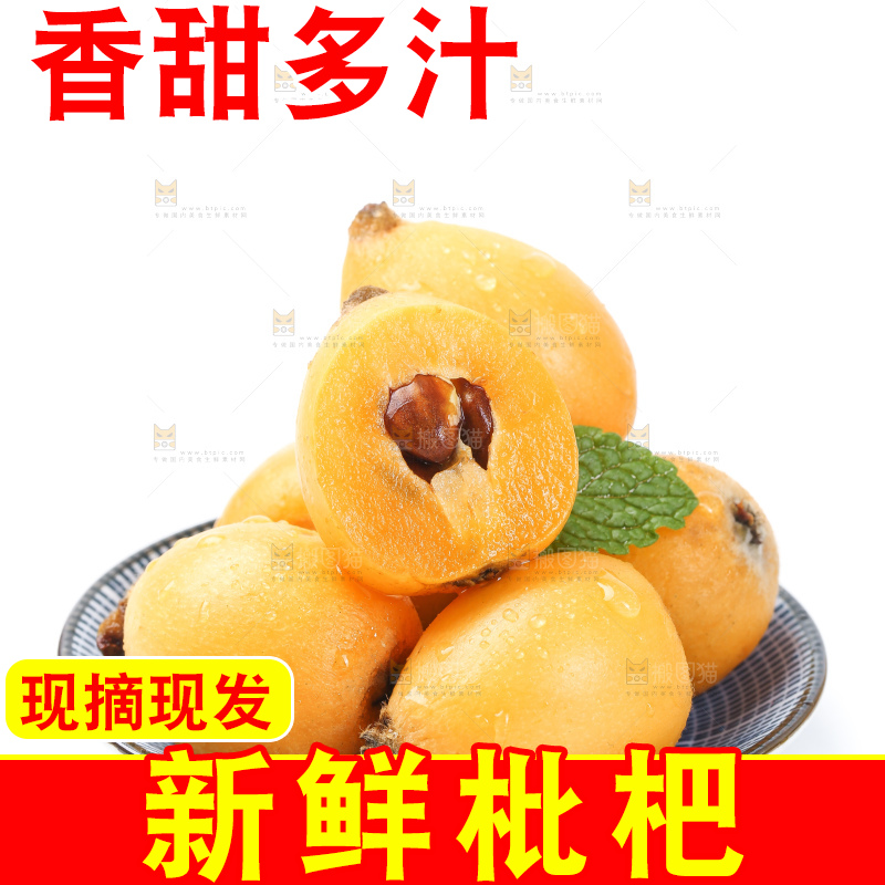 白底上的枇杷