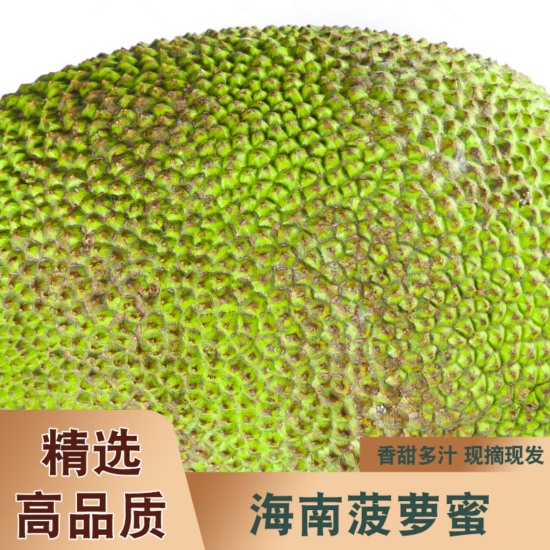 手里抱着新鲜菠萝蜜