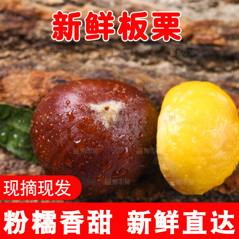 木底上的毛栗子