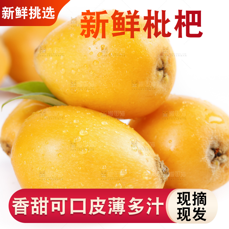 白底上的米易枇杷