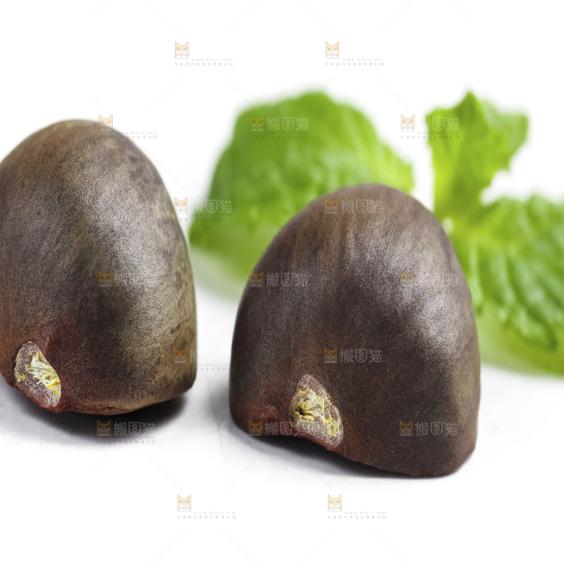 白底上摆放着茶树果
