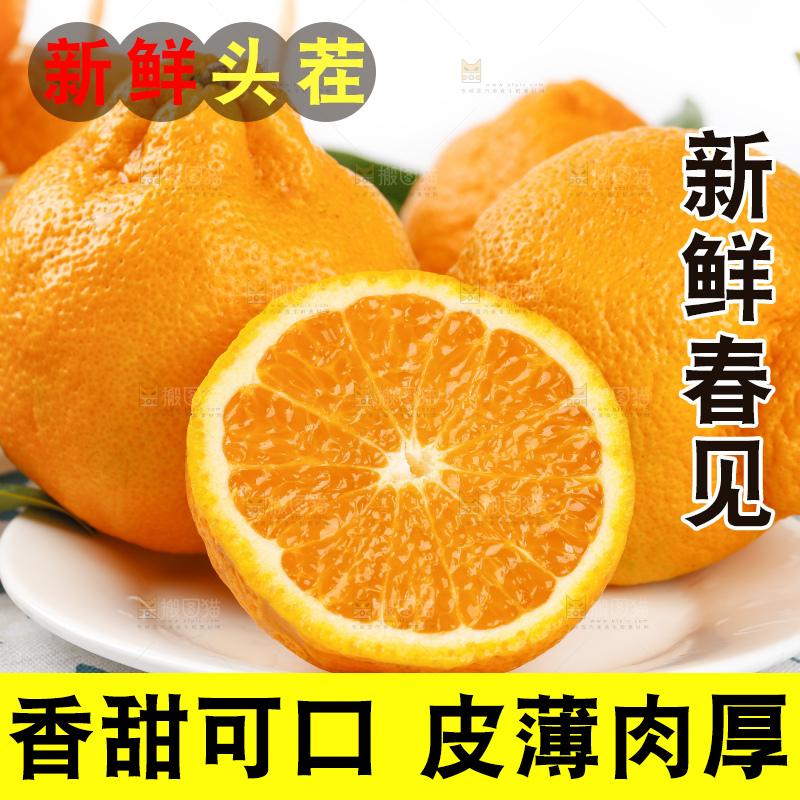 浅底上的春见耙耙柑