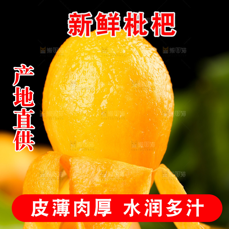 手里拿着新鲜枇杷