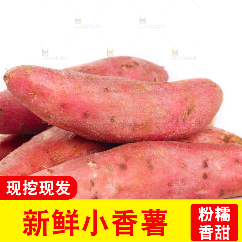 白底上的小蜜薯