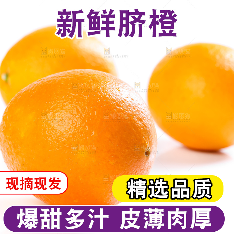 白底上的高山甜橙