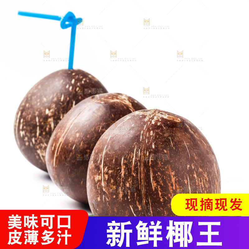 白底上摆放着老椰子