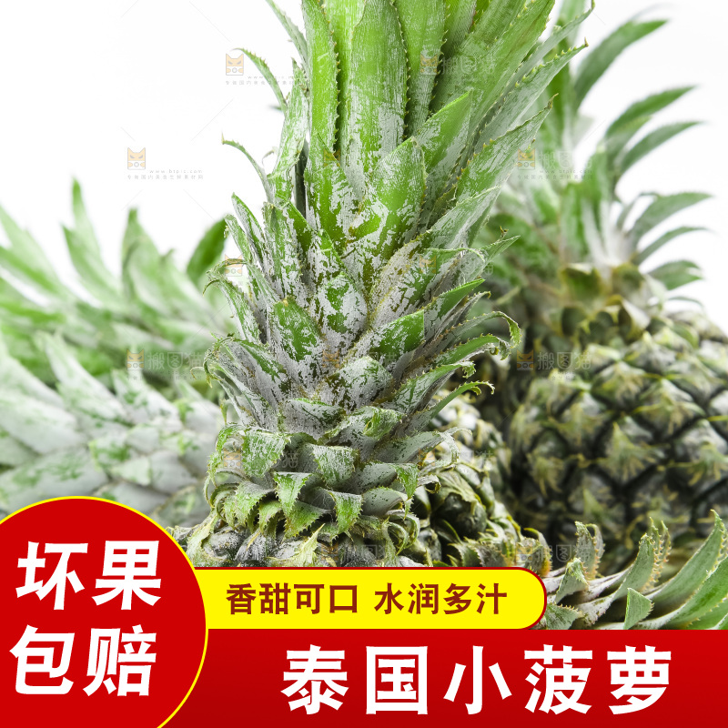 白底上放着泰国小菠萝