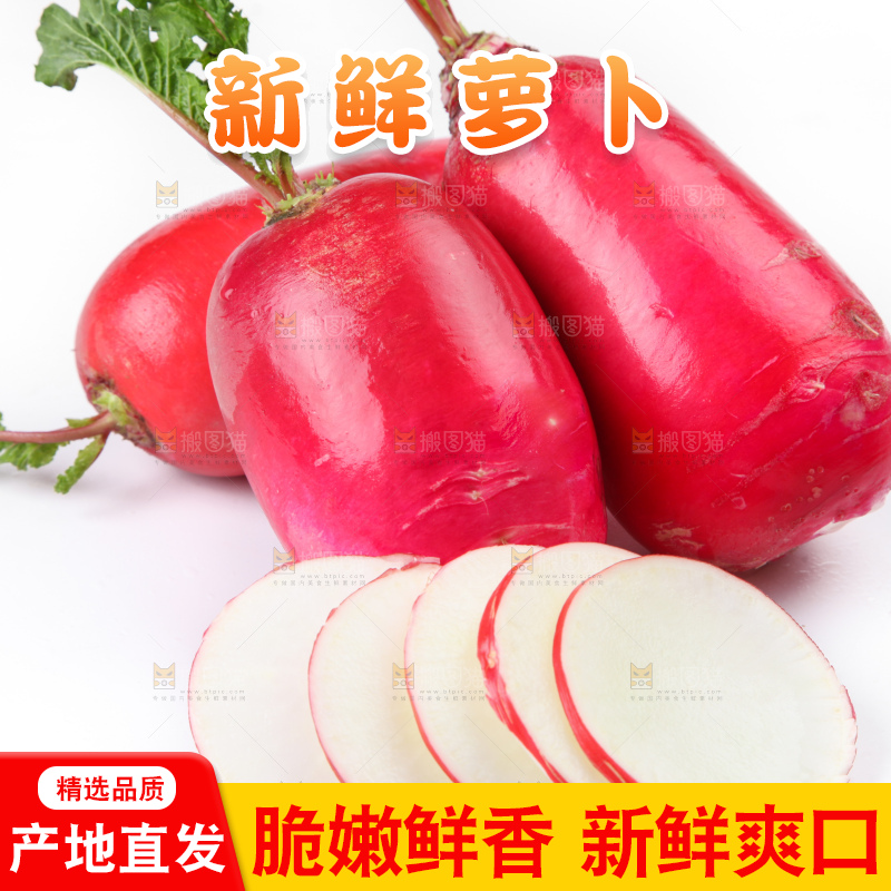 白底上的红萝卜