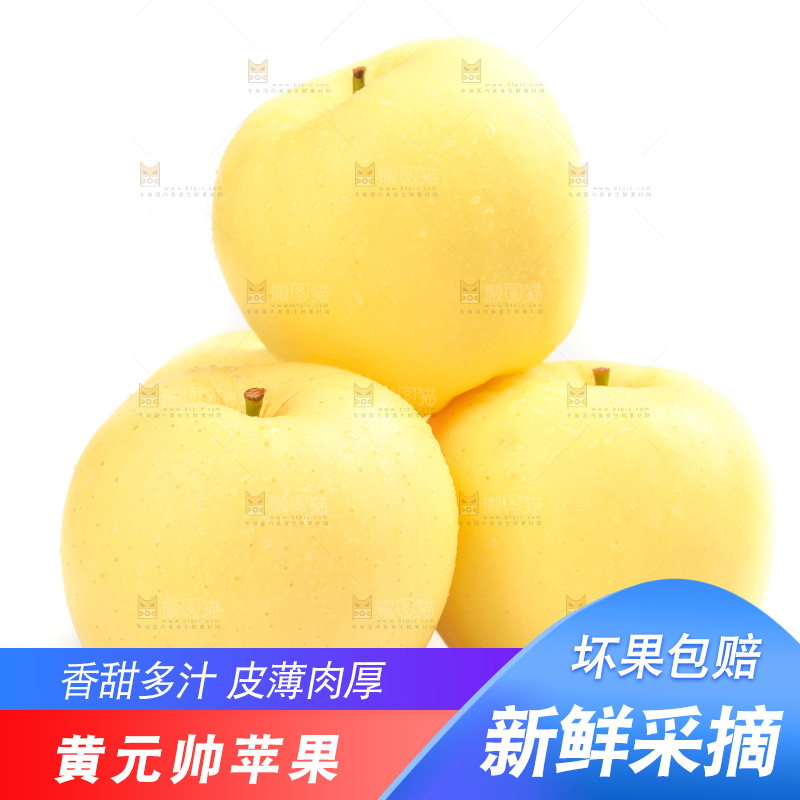 白底上摆放着黄金帅