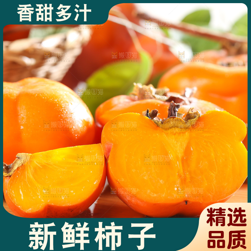 木底上的磨盘柿