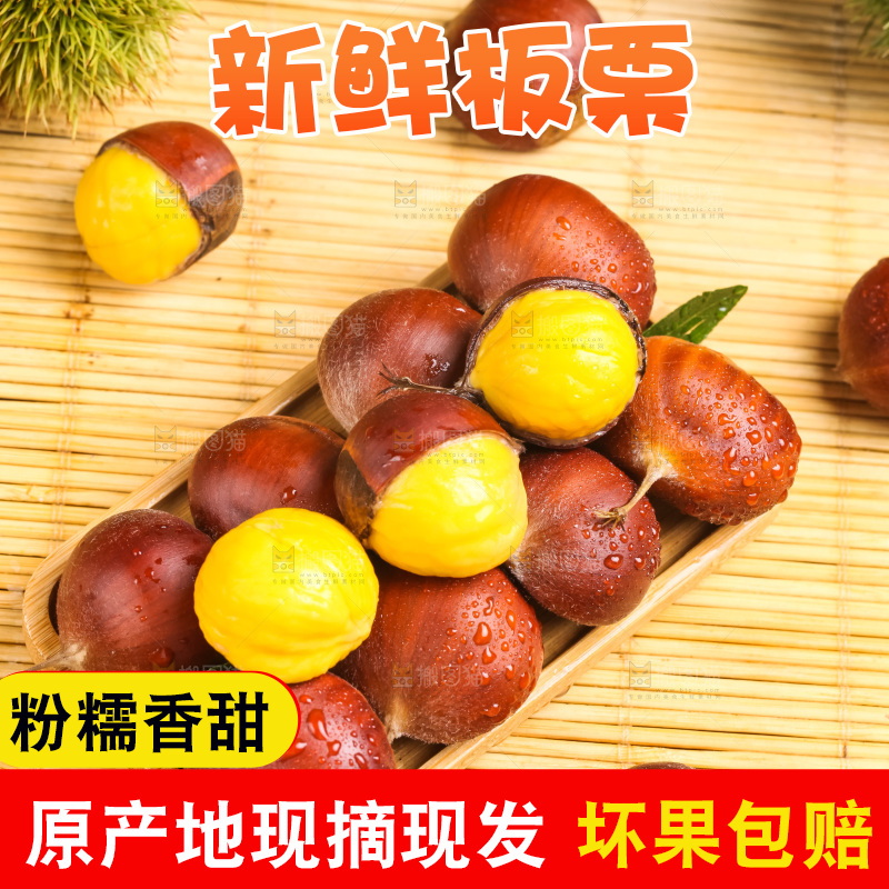 深底上的迁西板栗