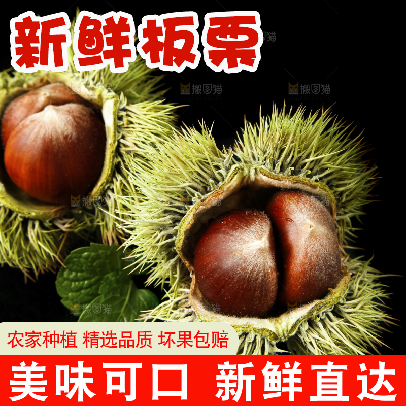 黑底上放着迁西板栗