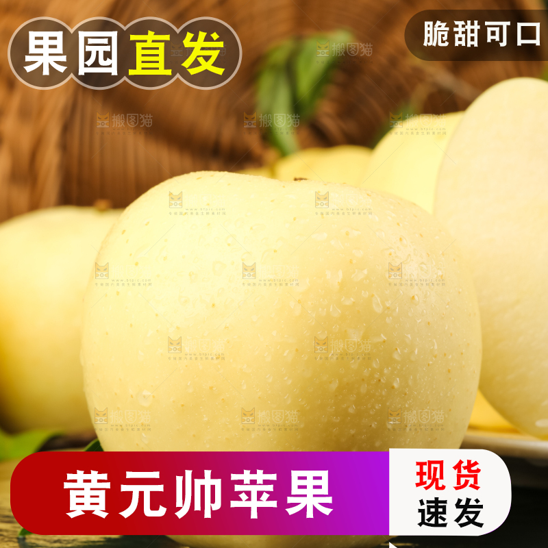 盘子里装着天水黄元帅苹果