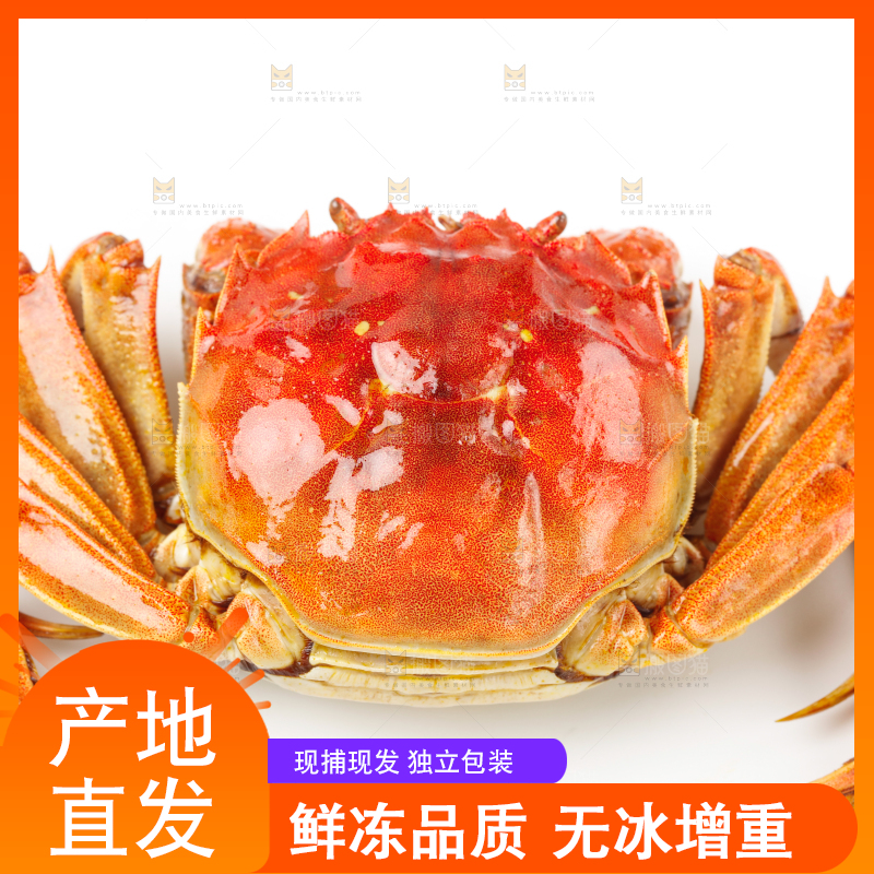浅底上摆放着熟螃蟹