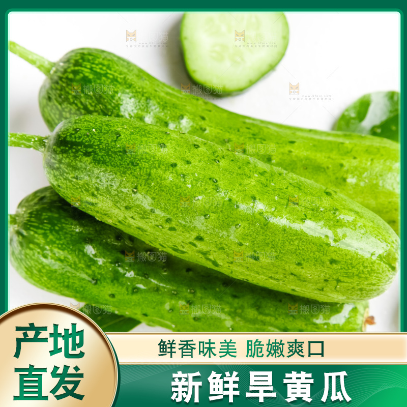 白底上的旱黄瓜